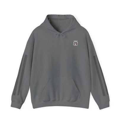 Cute Dark Raccoon Hoodie, Unisex Sweater, Cozy Sweatshirt, Fun Streetwear, Animal Lover Gift, Casual Outfit